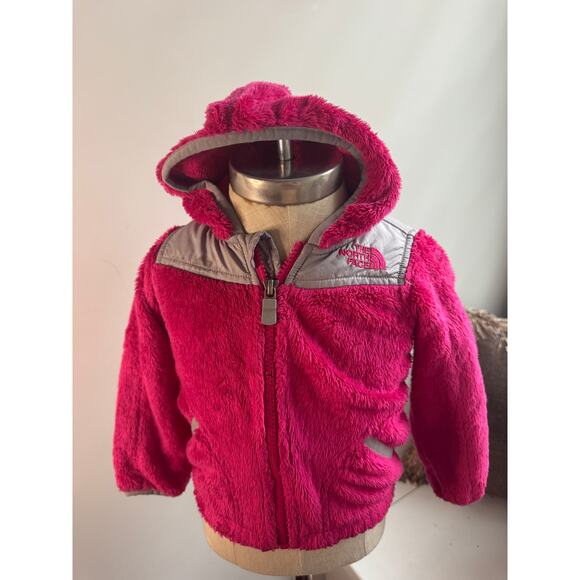 The North Face Toddler Fleece Jacket - Picture 1 of 4